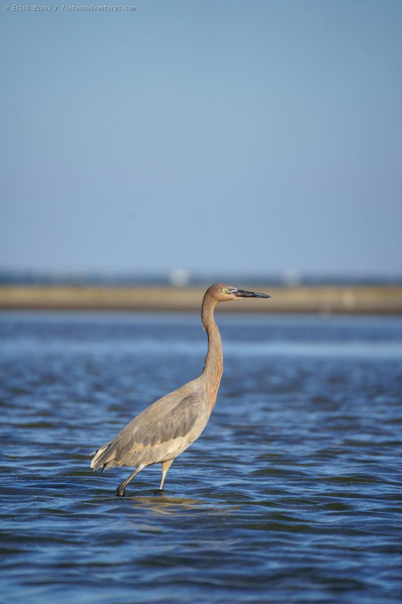 Coastal scene in Galveston, Texas