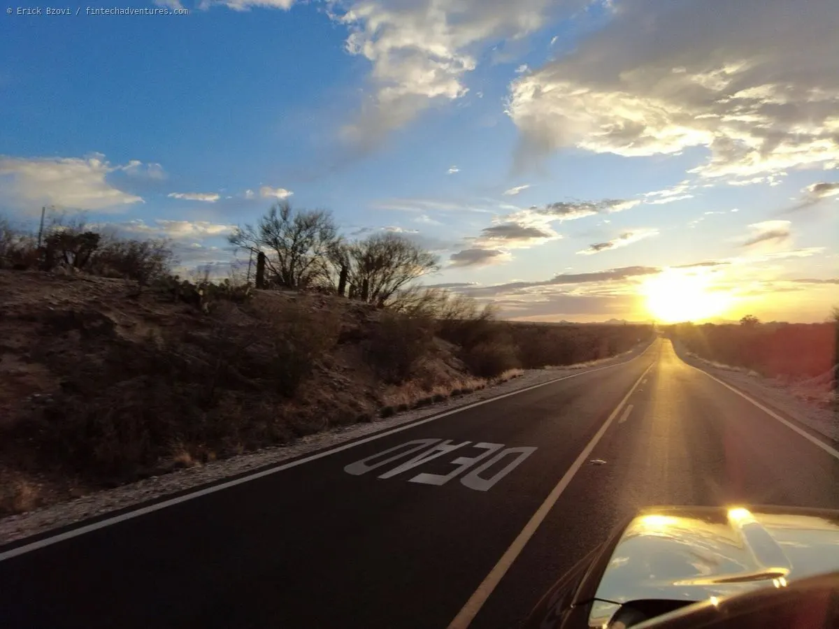 Desert road with saguaros in Arizona