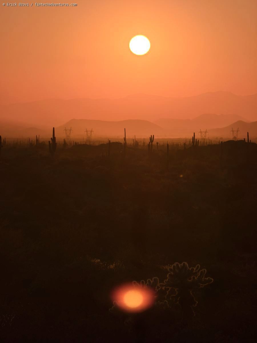 Golden sunset over saguaro cacti in the Sonoran Desert, Arizona